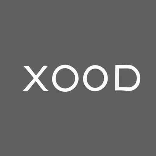 logo of a company named exolook, minimal design, metallic 